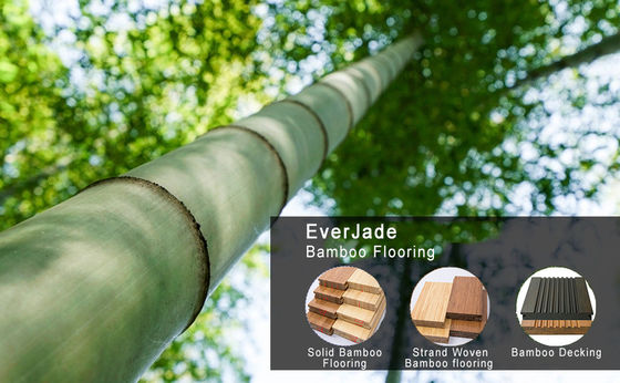 Voeg een vleugje moderne elegantie toe met houtskool design stijl Eco Forest bamboe vloer