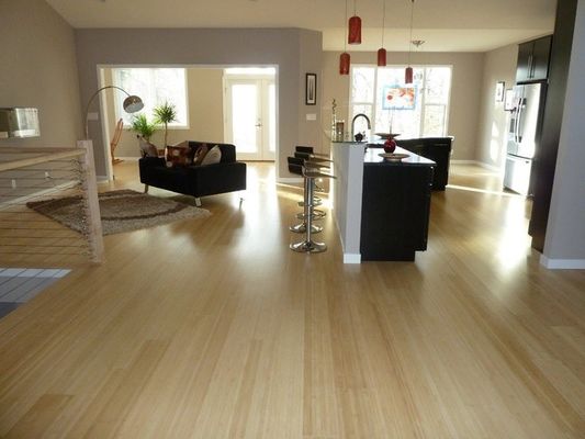 Verander uw ruimte met parket waterdichte ingenieurswerkvloeren van gelamineerd hout