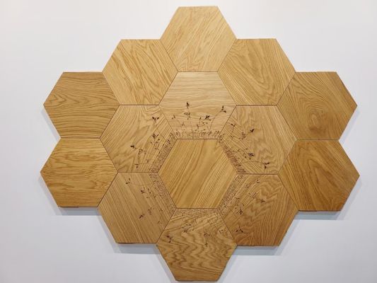 Houten vloeren van kunstmatig hout type parket Houten vloeren van oud hout in marble, teak, eikennoot